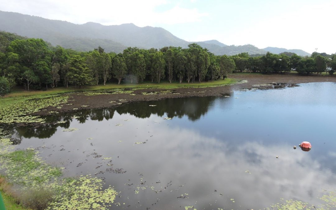The Ecology of Lakes