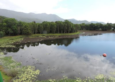 The Ecology of Lakes