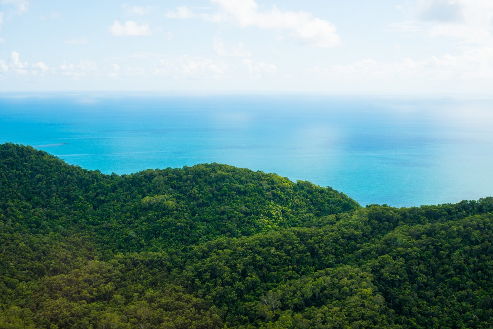 Point where Rainforest meets the reef in Tropical North QLD