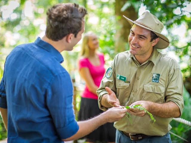 Skyrail Ranger showing guests rainforest flora