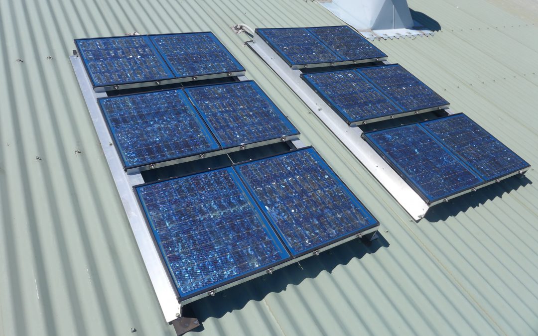 Tropical Rainforest Solar