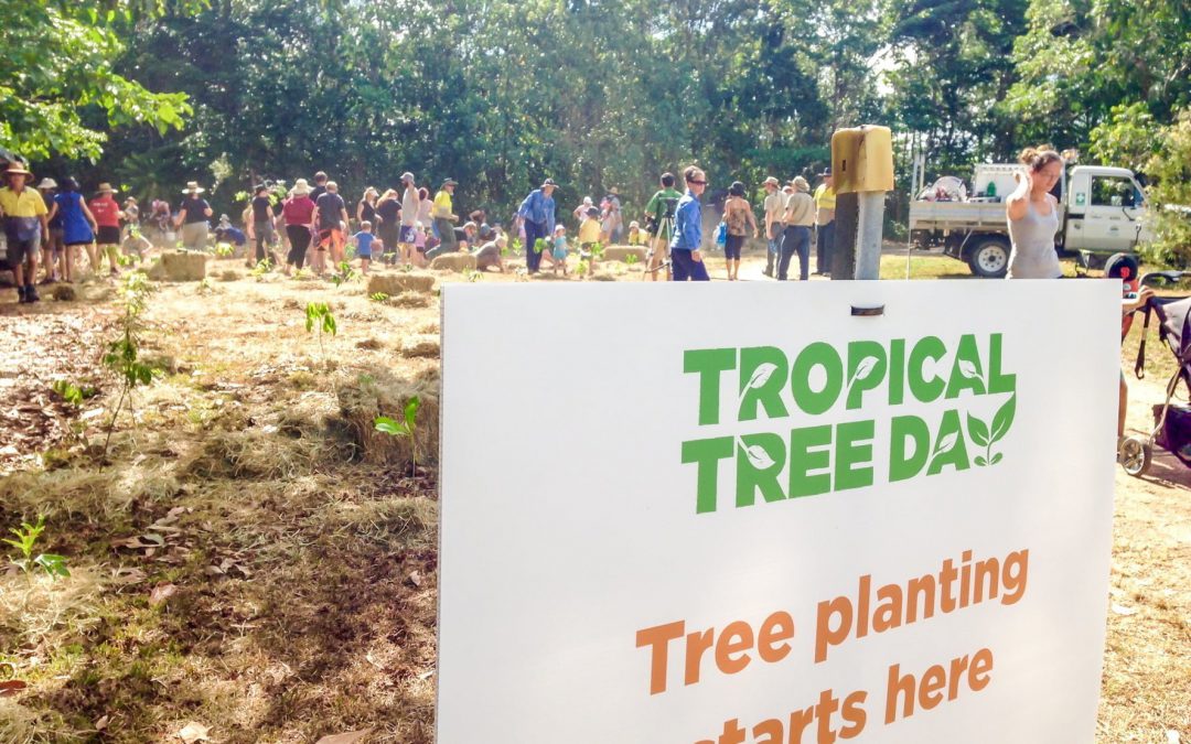 Adventure Mumma at Tropical Tree Day