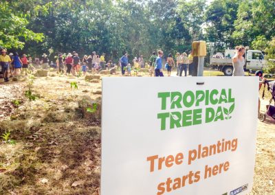 Adventure Mumma at Tropical Tree Day