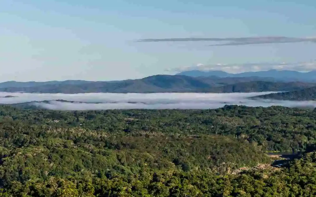 Wet Tropics World Heritage Area