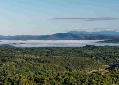 Wet Tropics World Heritage Area