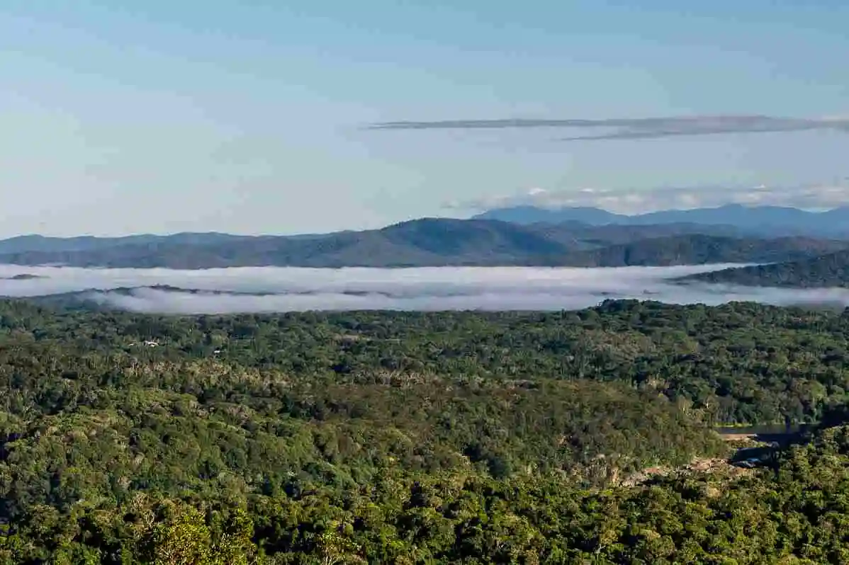 Mist rising off the Wet Tropics rainforest canopy