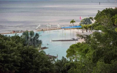 Sustainable Eco Tours Cairns