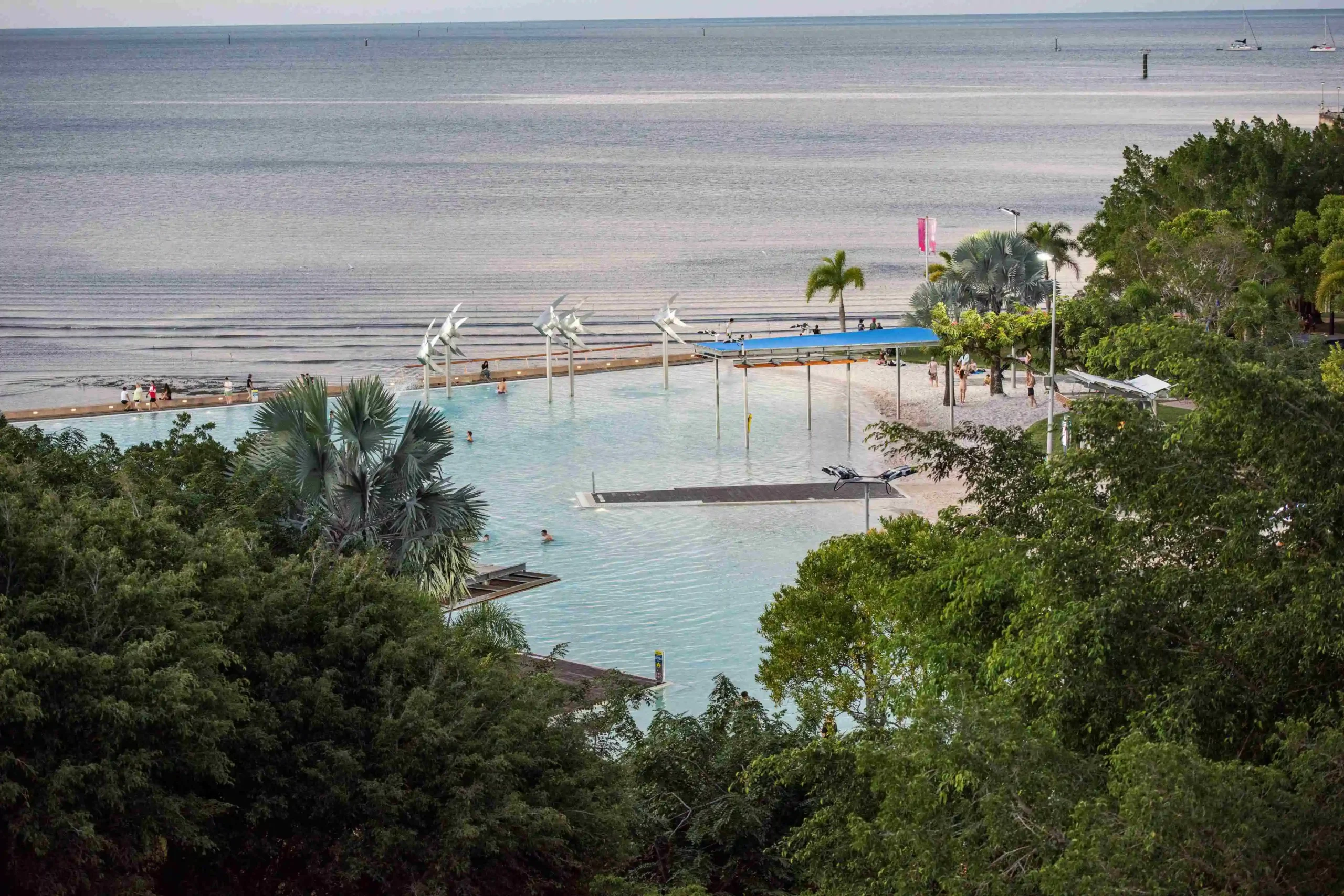 Cairns lagoon from above through he trees