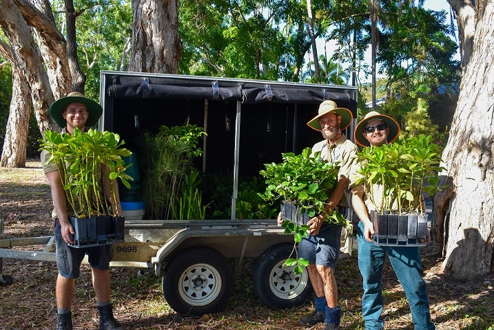 Green space tree planting