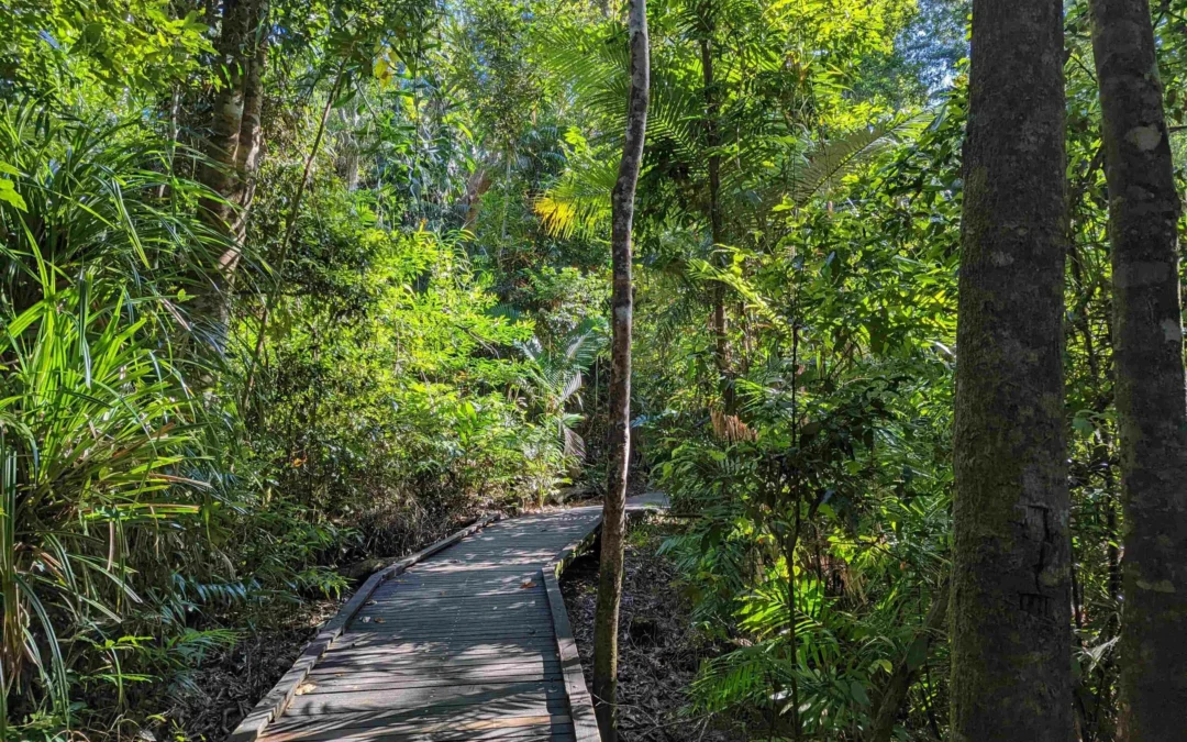 Kuranda Village Walking Trails