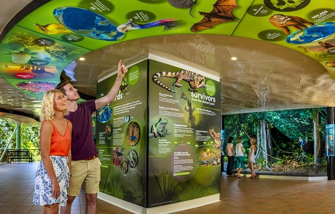 Rainforest Discovery Zone