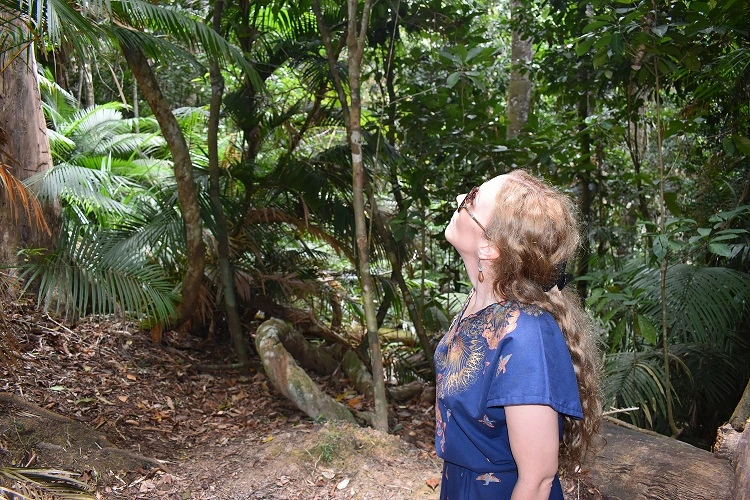 A girl in a blue dress looking up into the tall green trees surrounding her