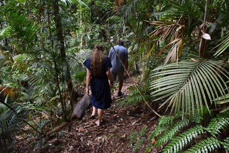 A girl in a blue dress and a man in a blue shirt walking down some wooden stairs surrounded by trees