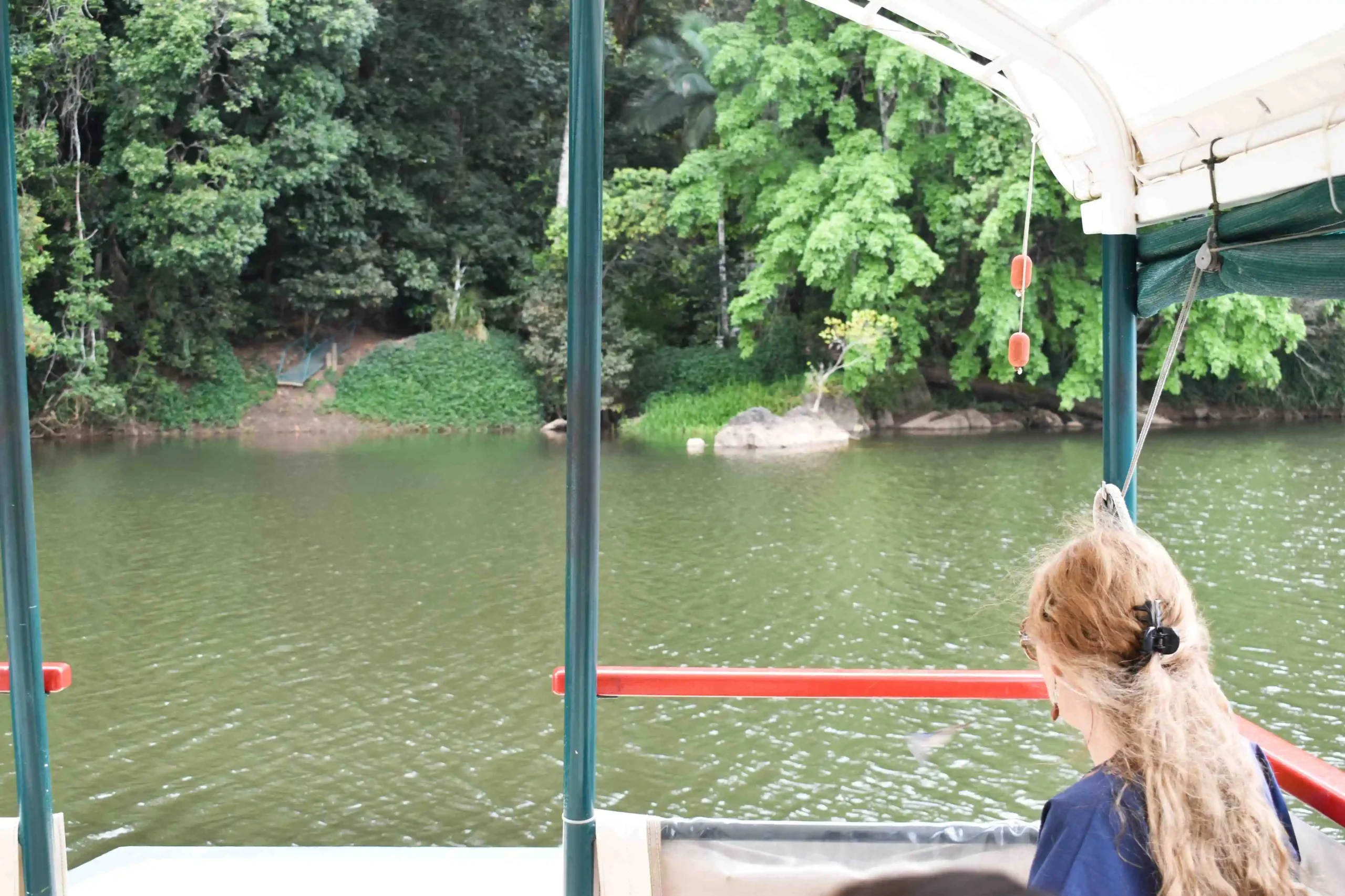 A point of view image of a girl sitting on the Kuranda Riverboast looking out to the river and green tee lined riverbank