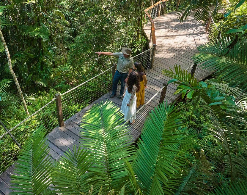 A Skyrail Ranger and two women stand in discussion on a boardwalk surrounded by rainforest
