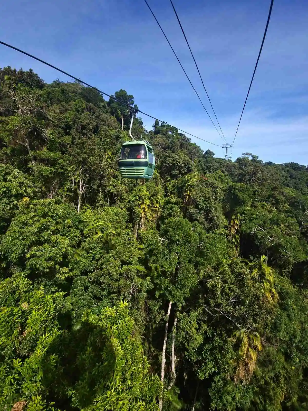 A gondola glides up a lush green mountainside on a cableway.