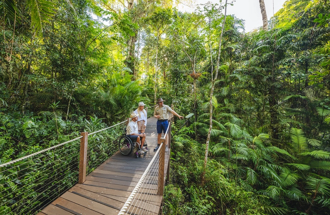 A Ranger stands on a boardwalk in the rainforest. Looking towards a female and a male wheelchair user as he points towards the deep green trees.
