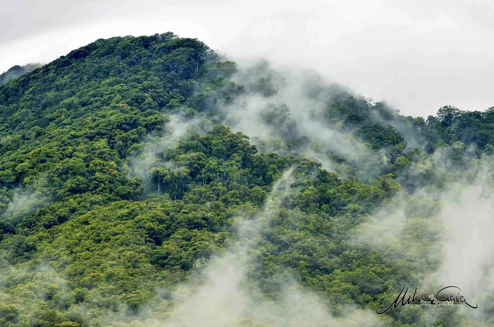 Moisture rises into the sky from the green rainforest canopy 