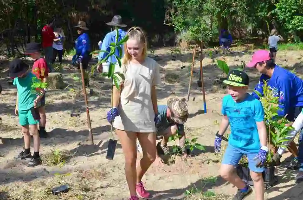 A girl in a white dress wearing blue gloves carries a tree ready to plant. People around her also have small trees  or are kneeling and planting