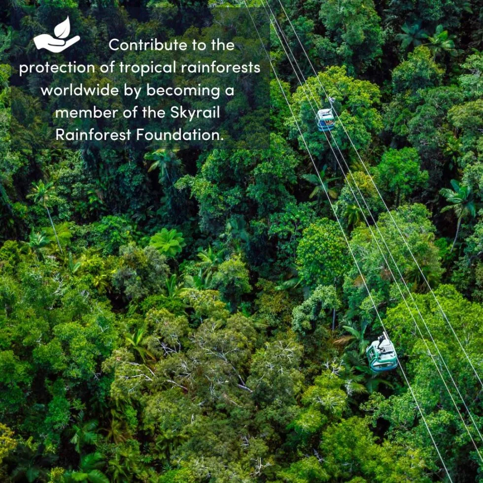 Birdseye view of two gondolas on the Skyrail Rainforest cableway above the canopy.