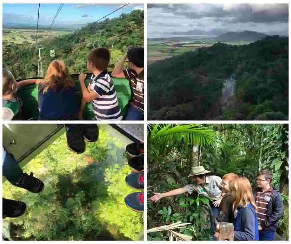 A series of four images. One of children looking out of a gondola window at the rainforest below. A send is a rainforest road between the trees below. Looking down through the glass floor of a gondola at the rainforest canopy and a ranger leans over pointing into the rainforest for three children smiling and watching. 