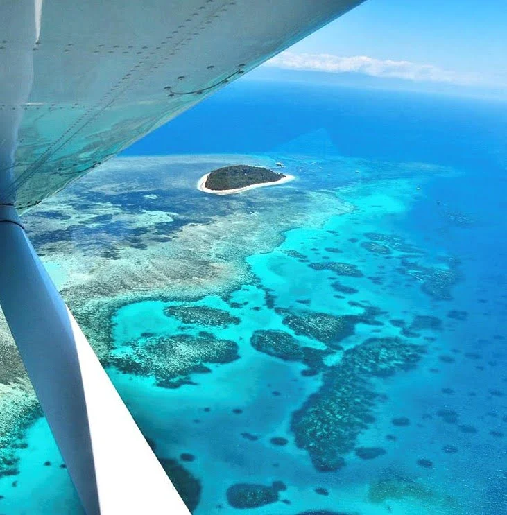 Looking down at the Great Barrier Reef and a rainforest covered sand cay 