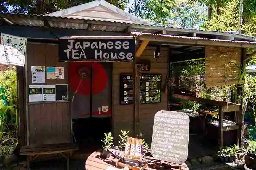 Japanese tea house Kuranda shop front surrpunded by rainforest