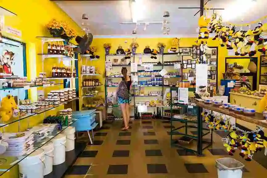 Women browsing in honey shop with bright yellow walls and heavily stocked shelves of honey
