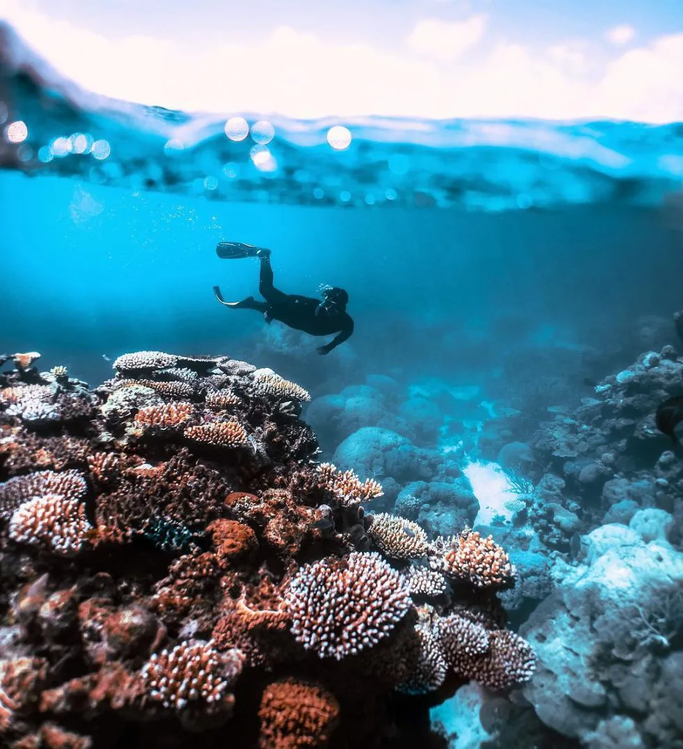 A diver can be seen under the water above the coral reef