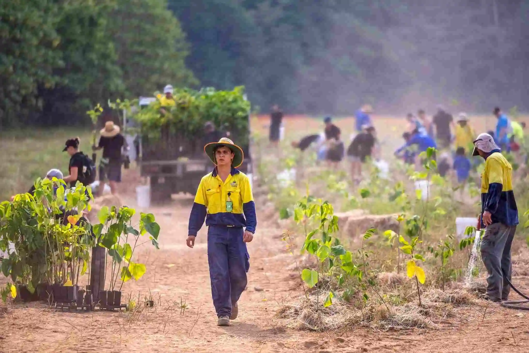 An open field of epople planting trees, in the foreground a person in high-vis walks toward the camera