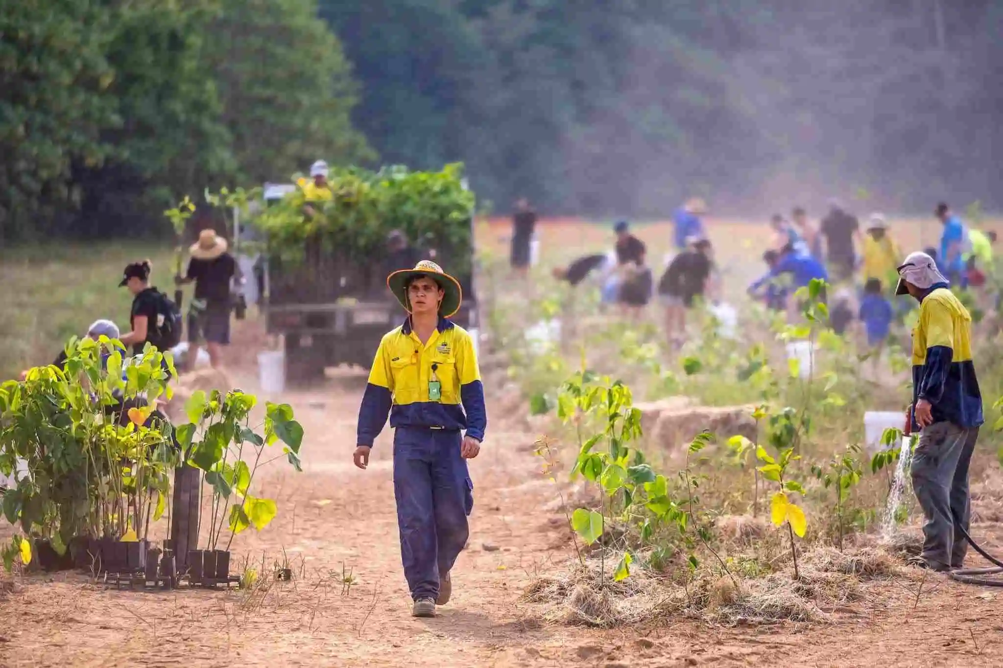 tree planting Redlynch An open field of epople planting trees, in the foreground a person in high-vis walks toward the camera