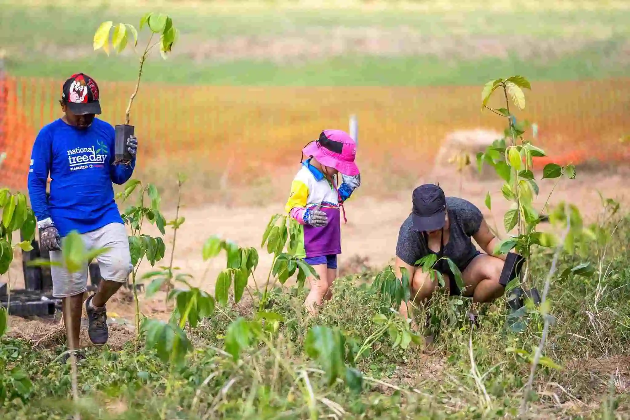 A woman kneels down planting  atree and two children stand, each holding  a tree to plant