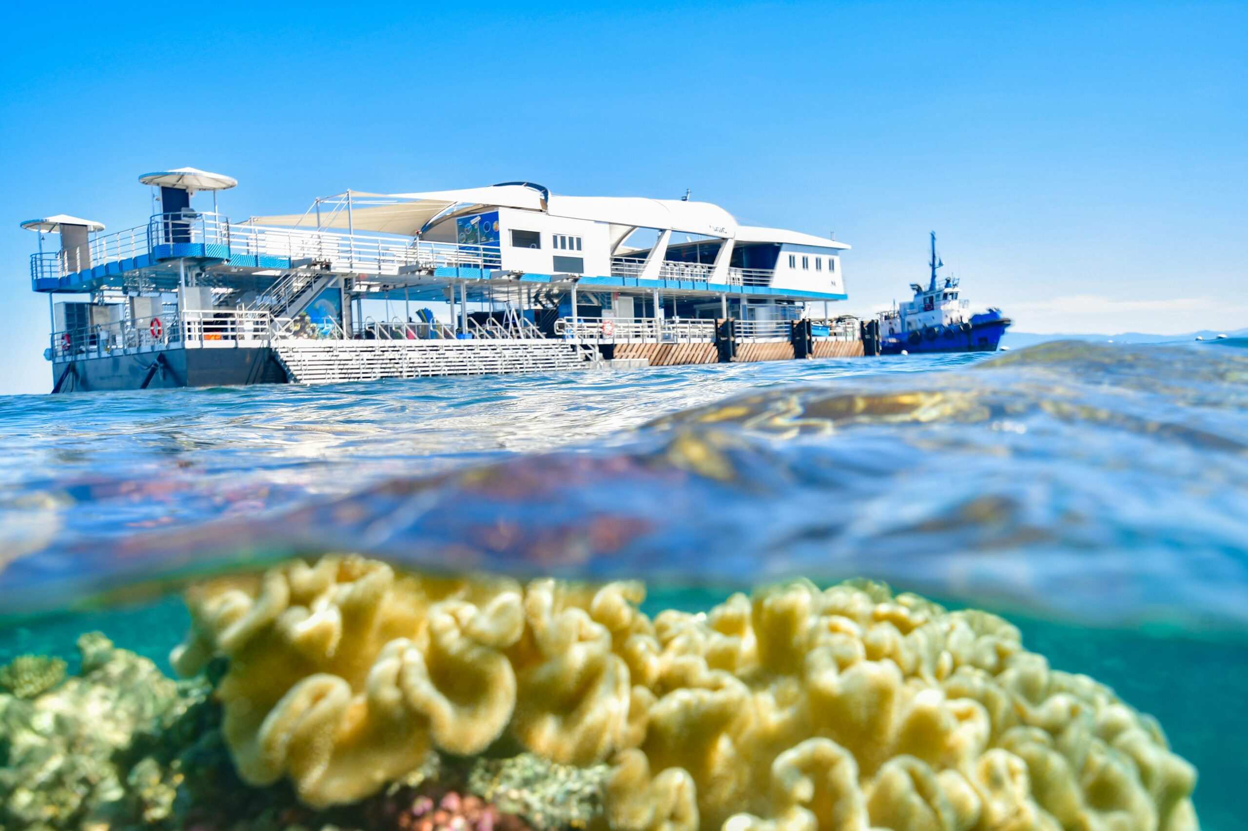 Reef Magic Great Barrier Reef Pontoon. Colourful coral can be seen under the water below the boat.