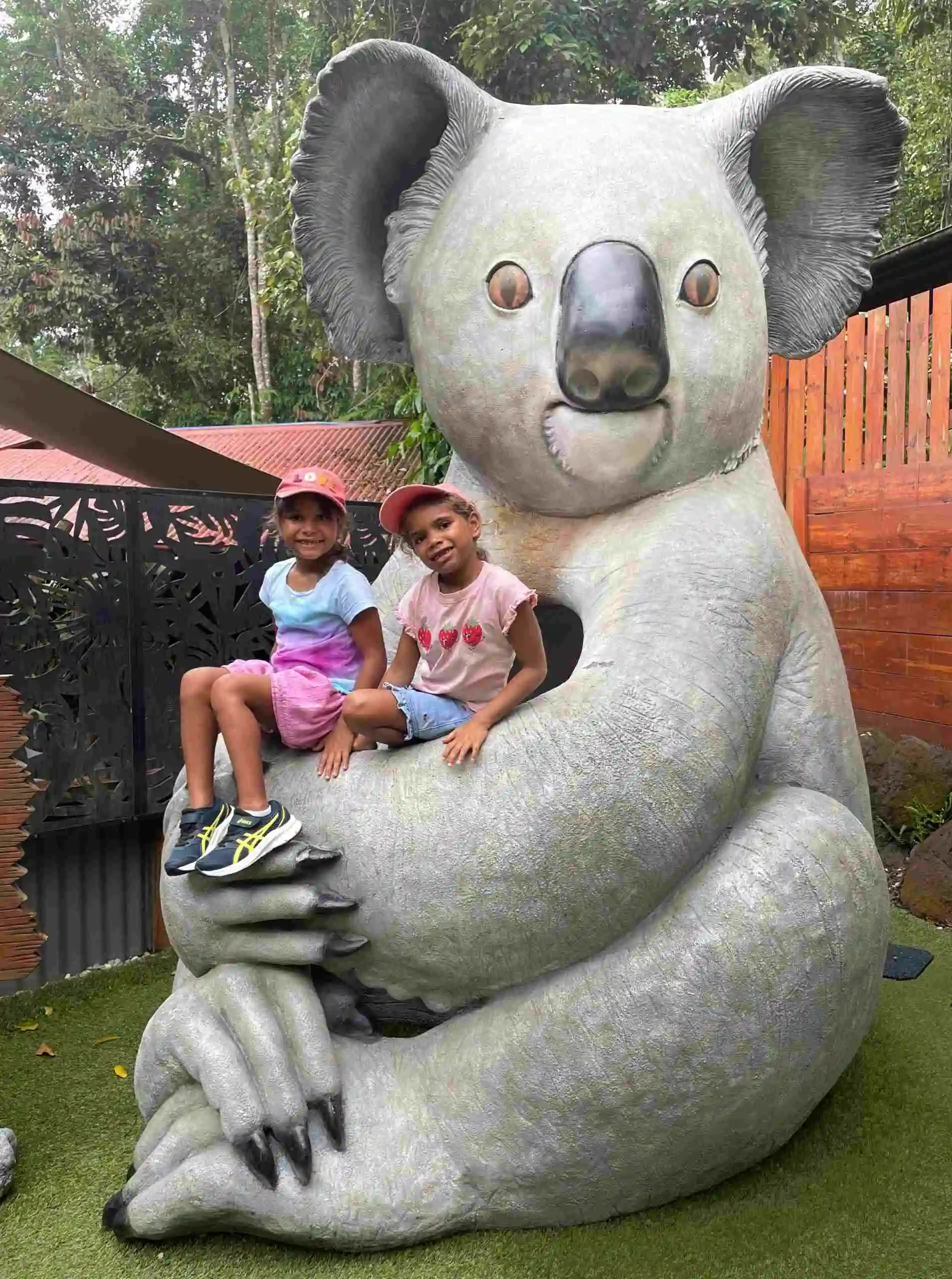 Reverse Koala cuddles with the Tropical Mama crew at Kuranda Koala Gardens