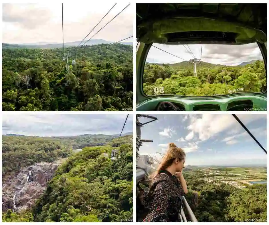 A series of four images across the rainforest canopy, Barron Falls and from a gondola window