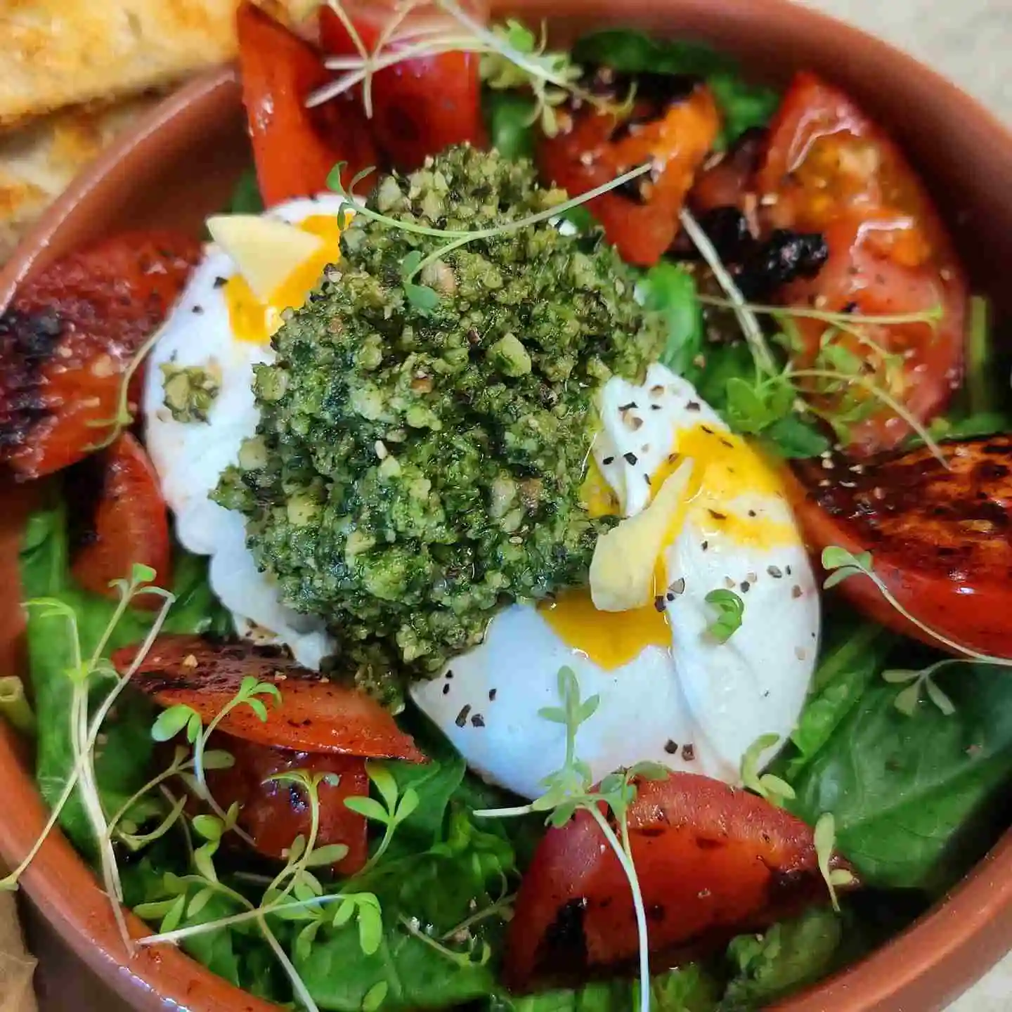 Fresh local green salad with poached eggs, home made pesto and microgreens