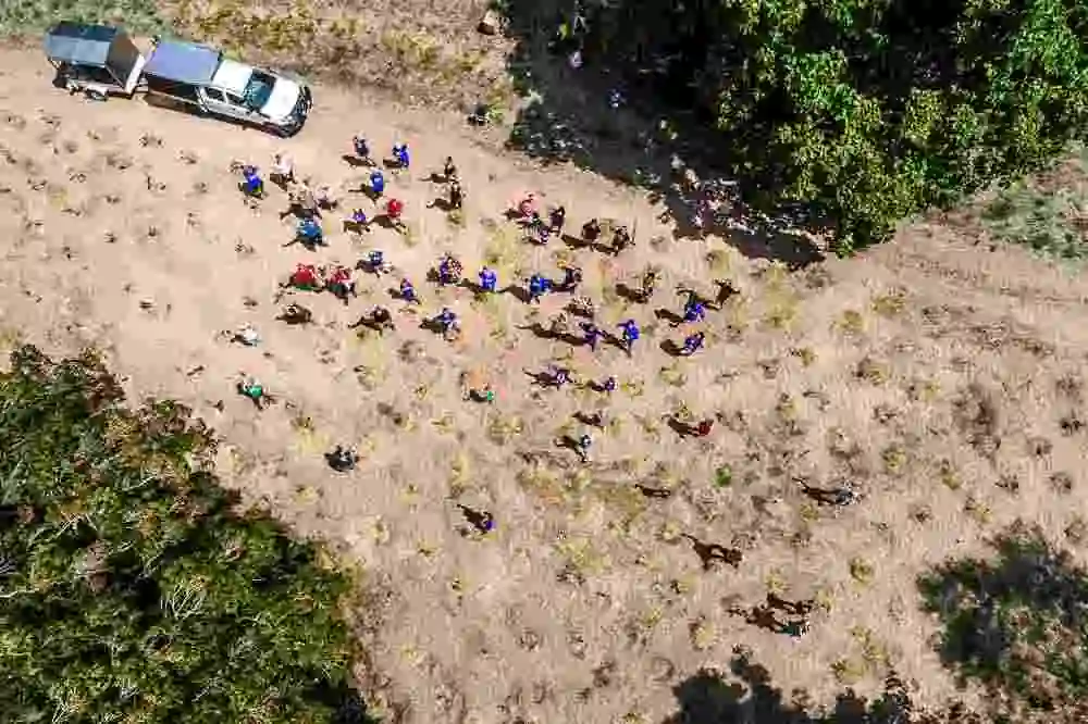 A bird-eye view of the planting site with holes dug and people gathering to plant