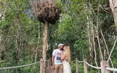 Valentine’s Day at Skyrail Rainforest Cableway