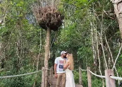 Valentine’s Day at Skyrail Rainforest Cableway