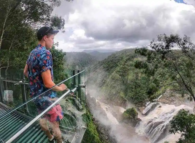 A teenage bow in a blue shirt stands at a glass lookout admiring the deep gorge below and lush rainforest 