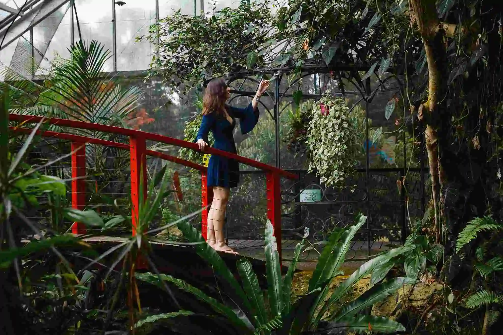 A girls stands on a red bridge surrounded by trees reaching out for a butterfly