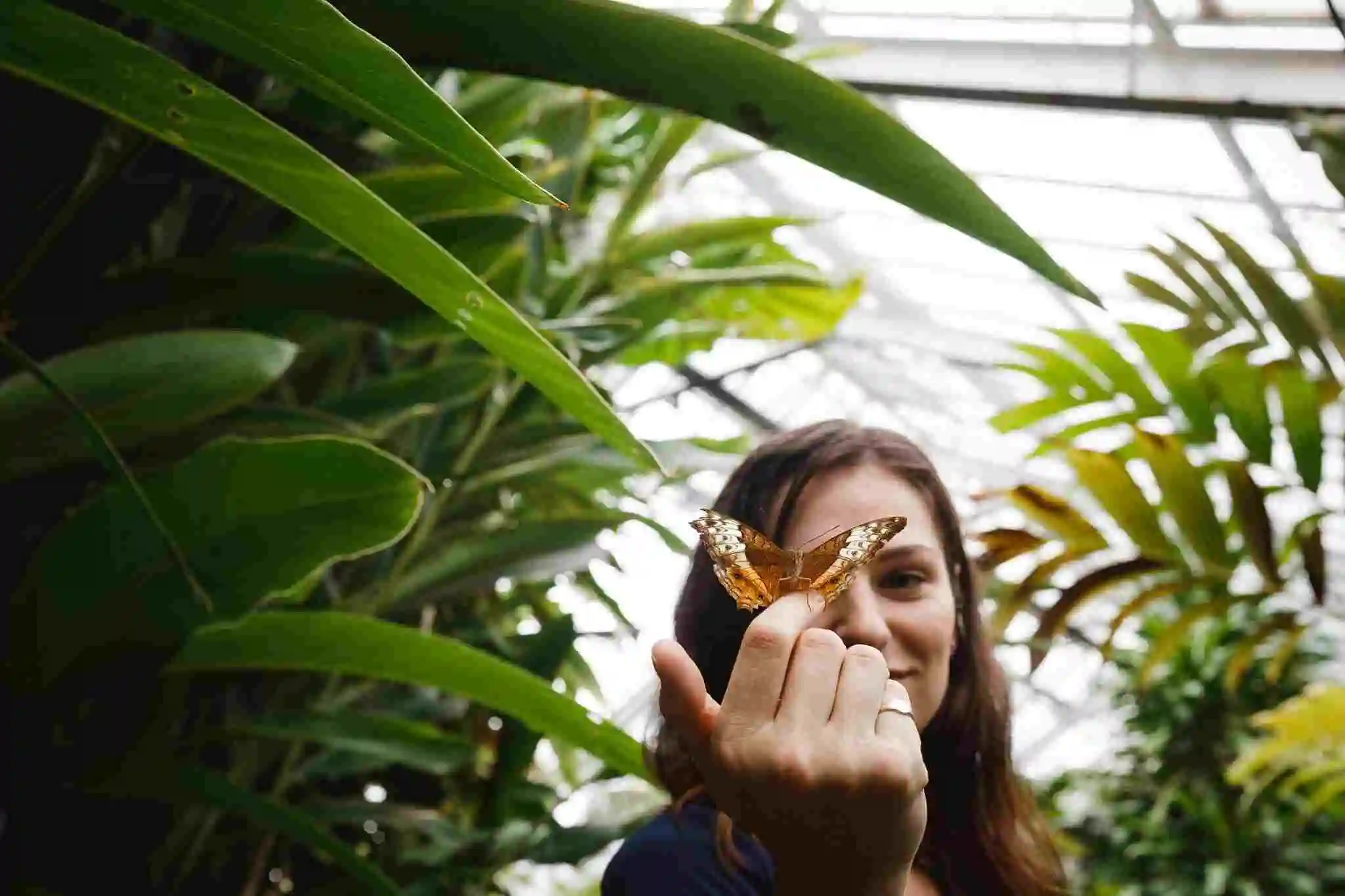 A close up of a girls finder with a butterfly sitting on it