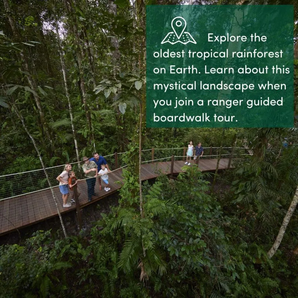 Ranger telling tropical rainforest stories on the boardwalk at Red Peak, at Skyrail.