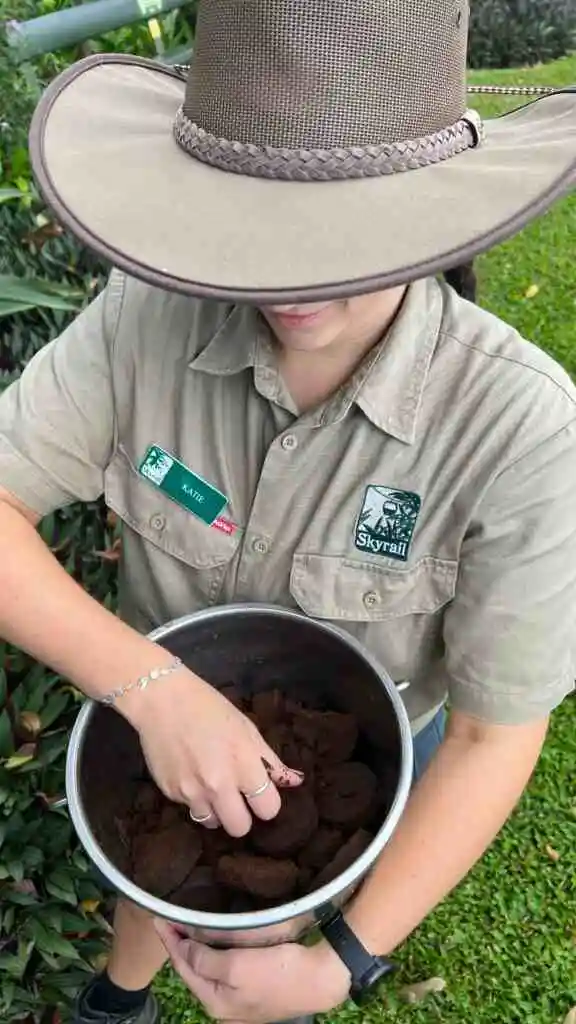 Ranger Katie view above hat with coffee grinds in a bucket at Skyrail's Smithfield Terminal gardens