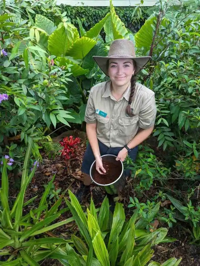 Ranger Katie with a bucket full of coffee grounds in the garden for fertilisation at Skyrail's Smithfield Terminal
