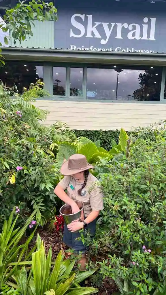 Ranger Katie dispersing the coffee grounds in the garden at Skyrail's Smithfield Terminal