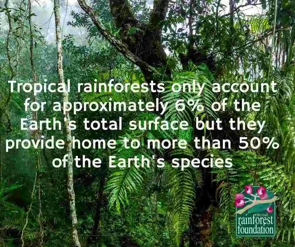 Tropical rainforests account for 6% of the worlds surface