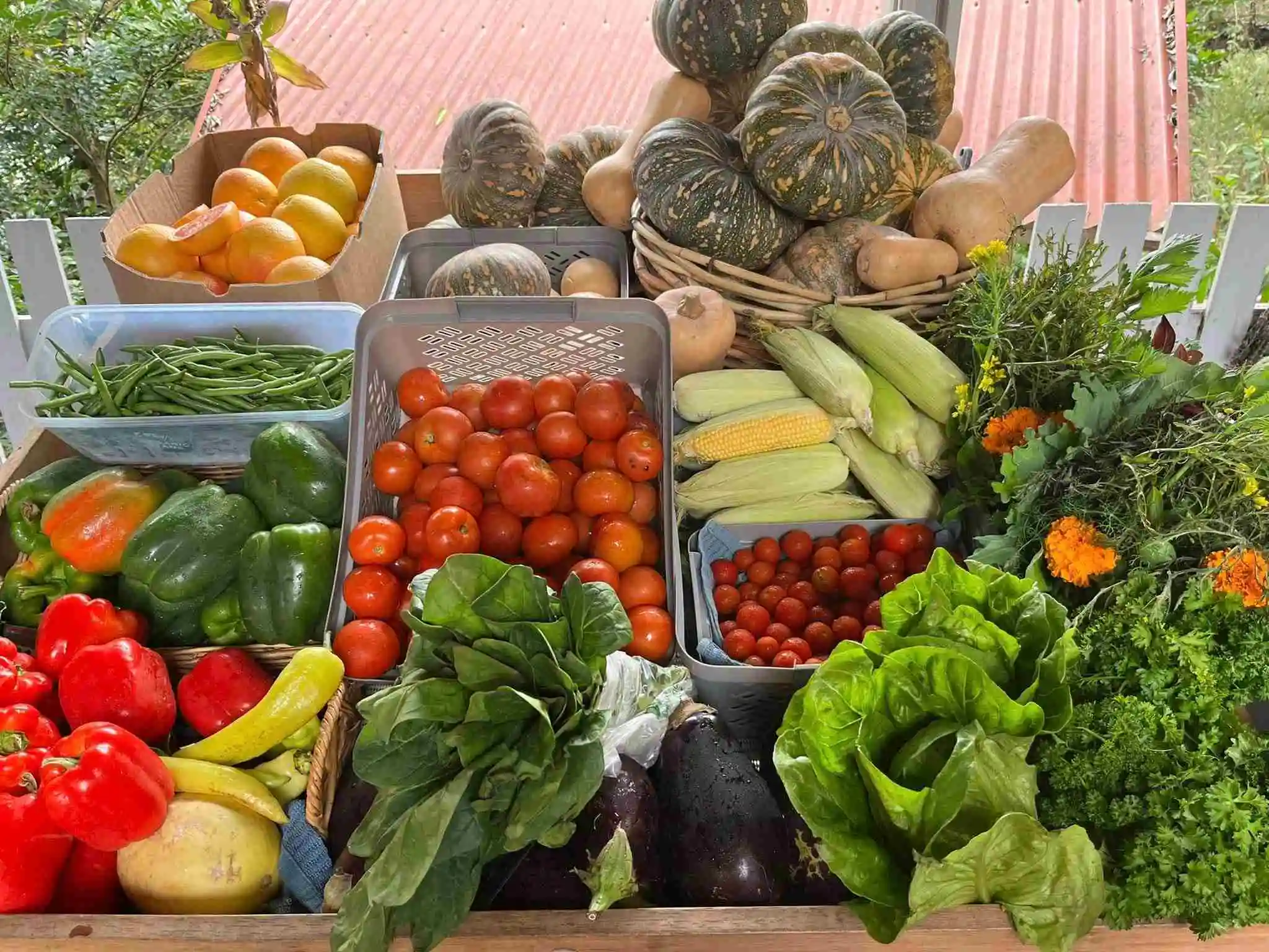 Fresh Vegetables at Wholesome Foods on display in boxes