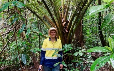 Tropical Rainforest Research Funding