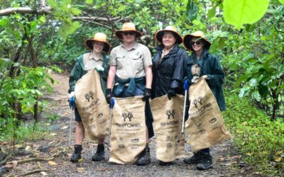 Waterways Beach Clean Up